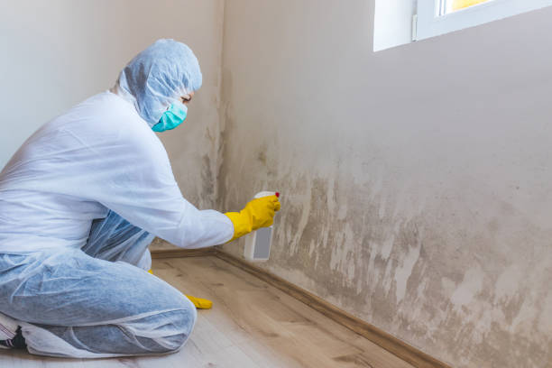 Commercial Mold Remediation assessment for commercial property in Georgetown